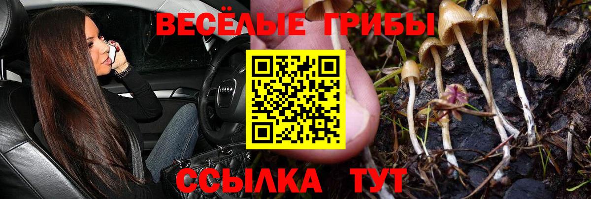 Арзамас  Псилоцибиновые грибы прущие грибы  Вход с VPN 