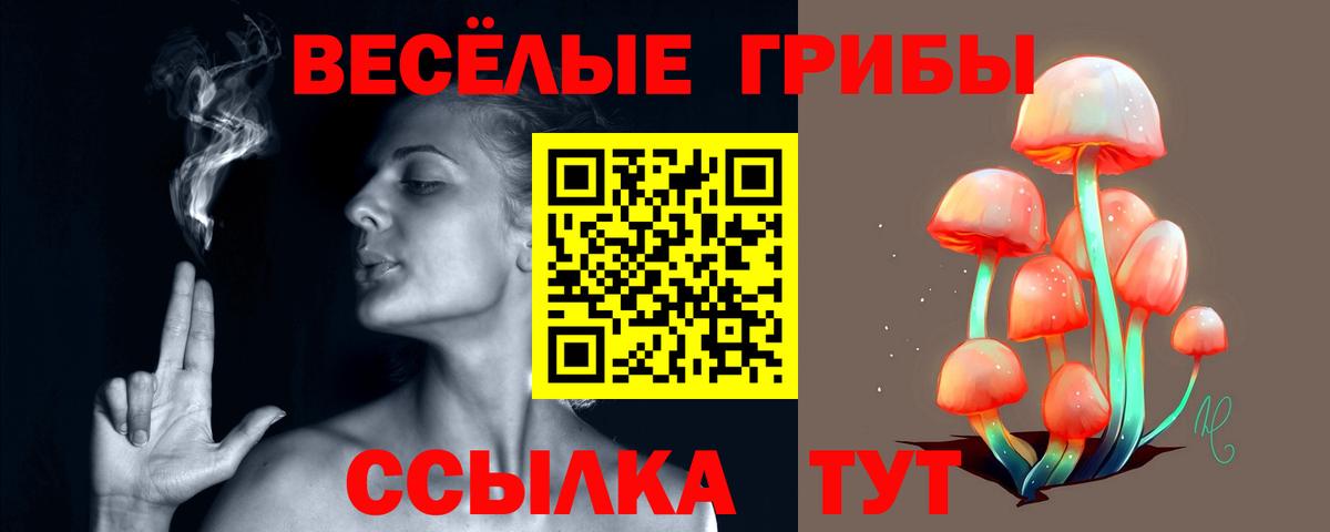 Псилоцибиновые грибы Psilocybe Арзамас
